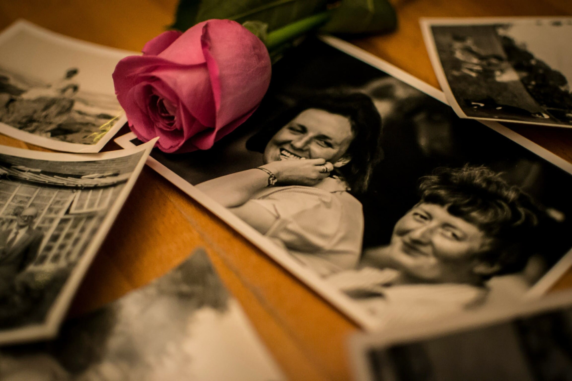Photographies de famille et rose sur une table en bois