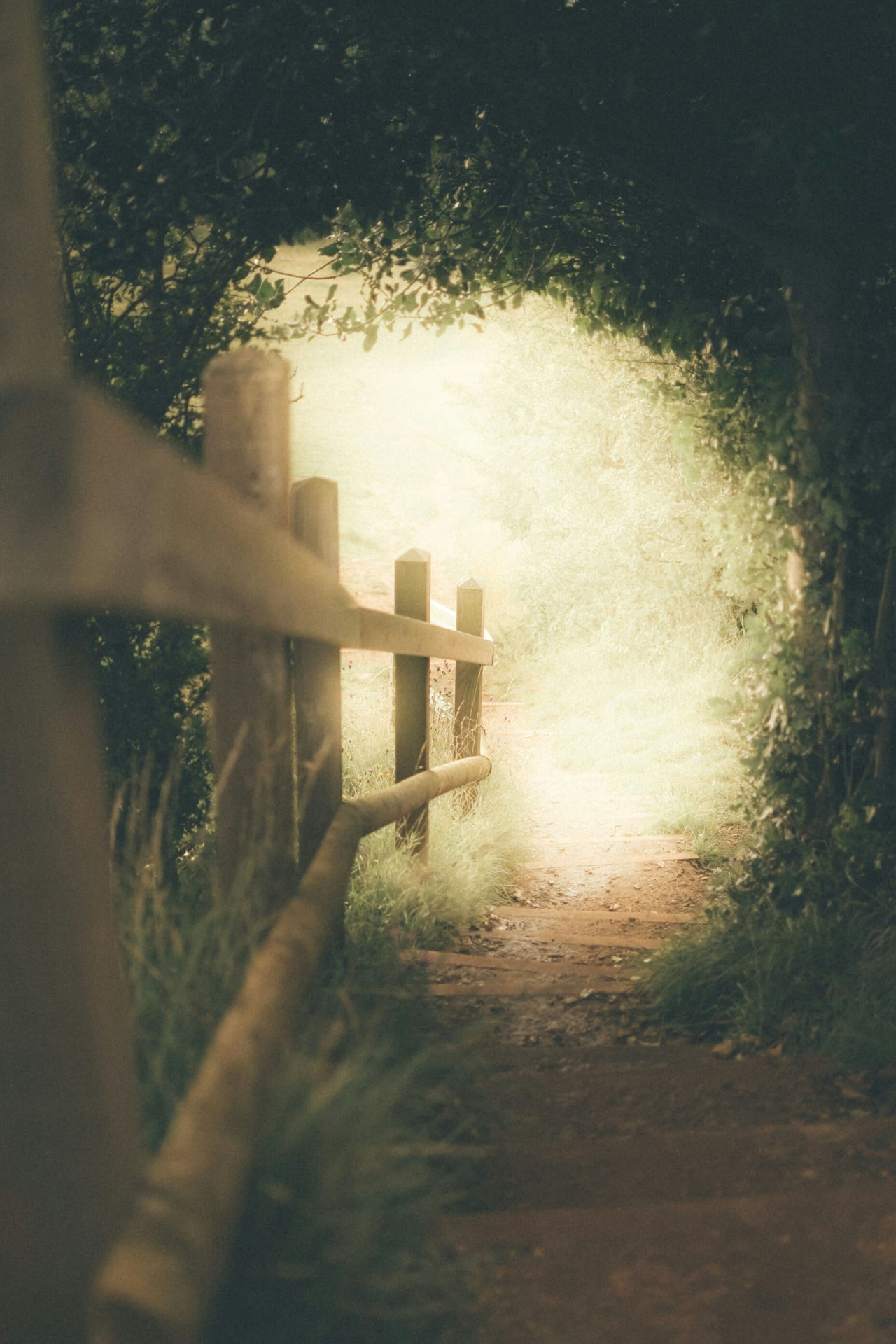 Sentier de terre traversant un tunnel de verdure vers une lumière dorée